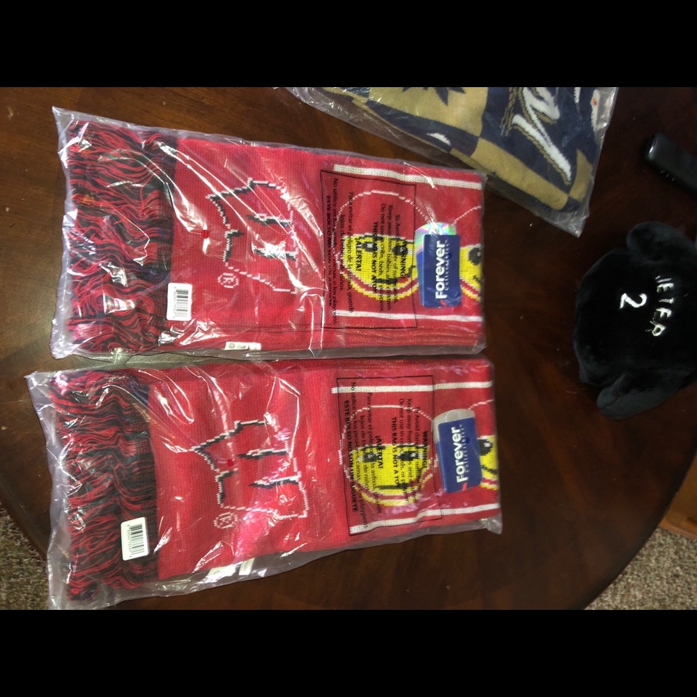 Wisconsin Badgers scarf